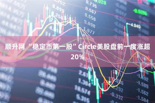 顺升网 “稳定币第一股”Circle美股盘前一度涨超20%