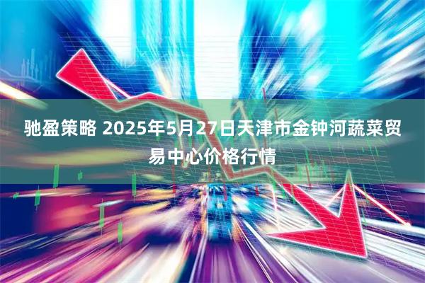 驰盈策略 2025年5月27日天津市金钟河蔬菜贸易中心价格行情