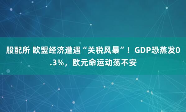 股配所 欧盟经济遭遇“关税风暴”！GDP恐蒸发0.3%，欧元命运动荡不安