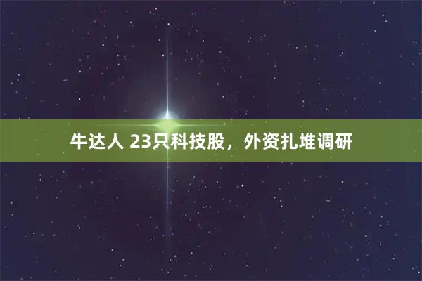 牛达人 23只科技股，外资扎堆调研