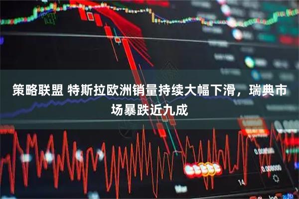 策略联盟 特斯拉欧洲销量持续大幅下滑，瑞典市场暴跌近九成