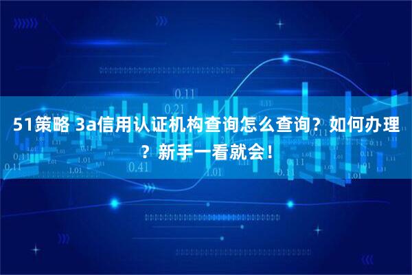 51策略 3a信用认证机构查询怎么查询？如何办理？新手一看就会！