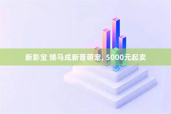 新影宝 矮马成新晋萌宠, 5000元起卖