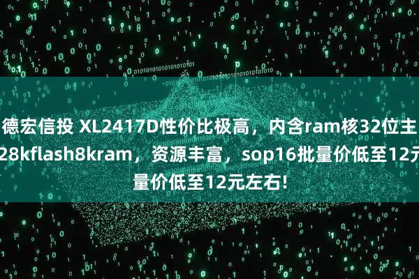德宏信投 XL2417D性价比极高，内含ram核32位主控，128kflash8kram，资源丰富，sop16批量价低至12元左右!